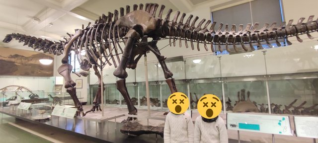 Vista icónica en Dumbo, bicis Central Park, Museo Historia y Little Italy - Nueva York y Cataratas del Niágara 2023 (32)