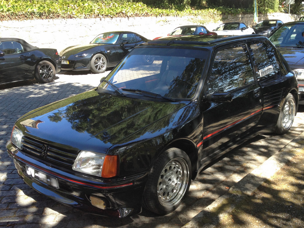 IMG-1111-dimma-peugeot-205-gti-1-6-phase-1.jpg
