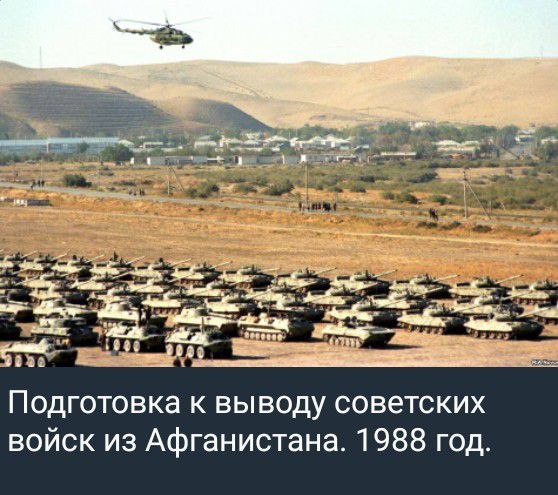 https://i.postimg.cc/Bb94sXbX/photo-2026-05-25-01-24-41-(2).jpg
