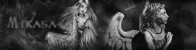 https://i.postimg.cc/Bb9FgsSB/MIKASA.gif