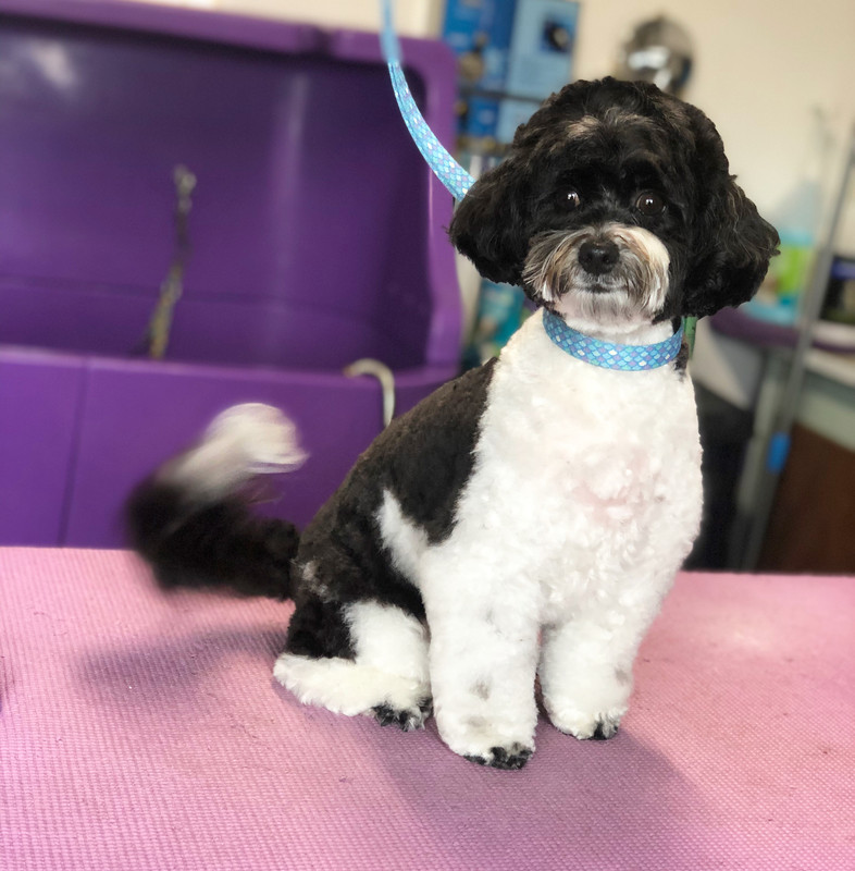 9A852AD0-DDE5-400F-99C9-6927527F578A