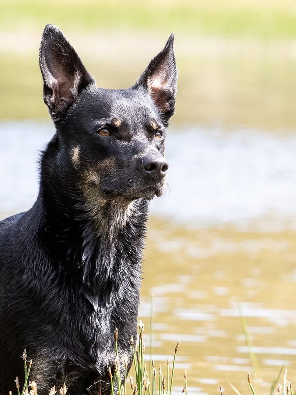 644B7687-6109-4B6B-927D-CEEAA2F8472B