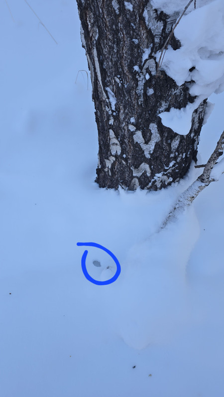 IMG2 24012026 104311