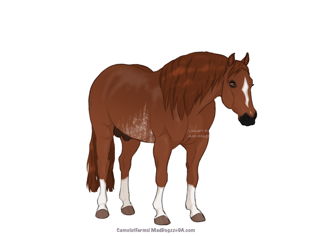 84-C28-F3-D-A8-B7-4882-A6-E9-E9-B22482839-C.png