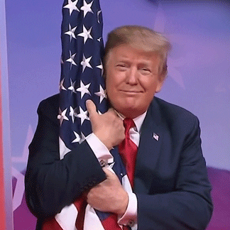 giphy-1.gif