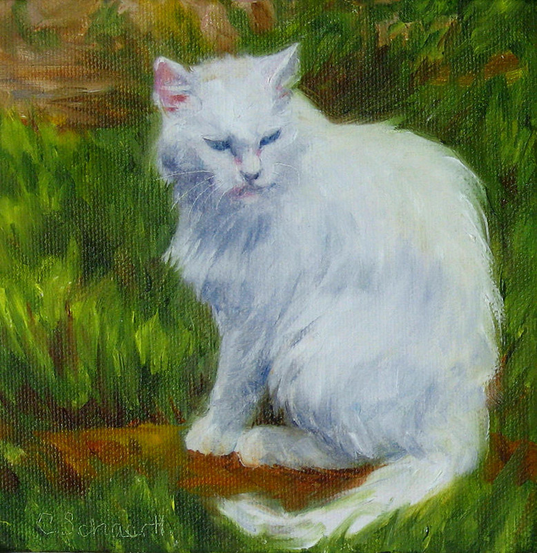 a-fluffy-cloud-connie-schaertl