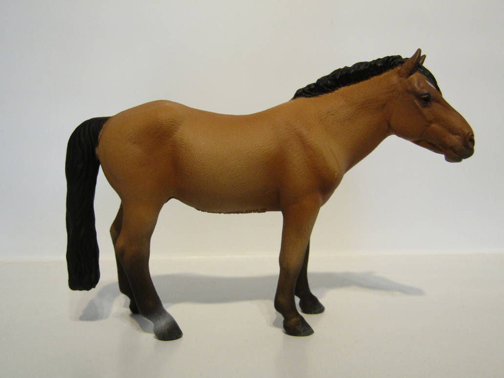 2021 Horse Figure of the Year, CollectA Mongolian! Collecta-mongolian-horse-gwaine