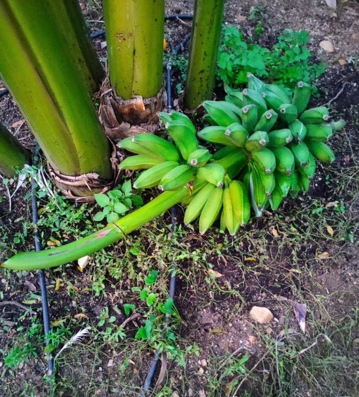 DBF2DF60-26C3-400A-B53B-D2491F1D497B