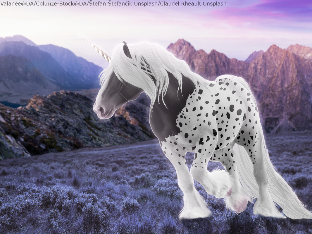 IMG-0607.png
