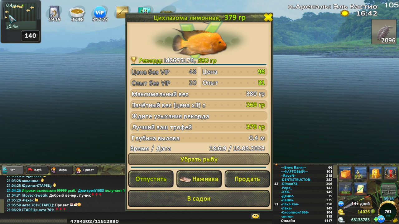 Цихлазома лимонная - Охотник на ведьм