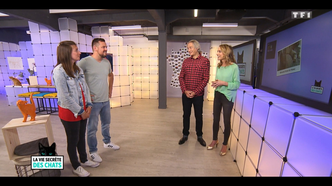 2020-05-30_10_35_TF1_La-vie-secrete-des-chats_Chats-et-sentiments-avec-Charlotte-Valan.mp4_snapshot_