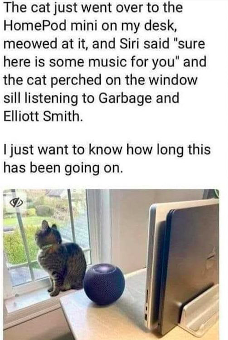 cat-listens-2-garbage.png