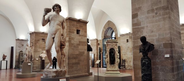 Roma y Florencia en 3 días - Blogs de Italia - Tren de las 5:40 a Florencia (217)