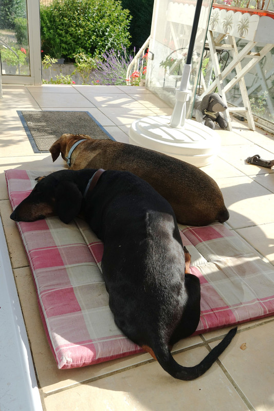 [Image: DSC00261.jpg]