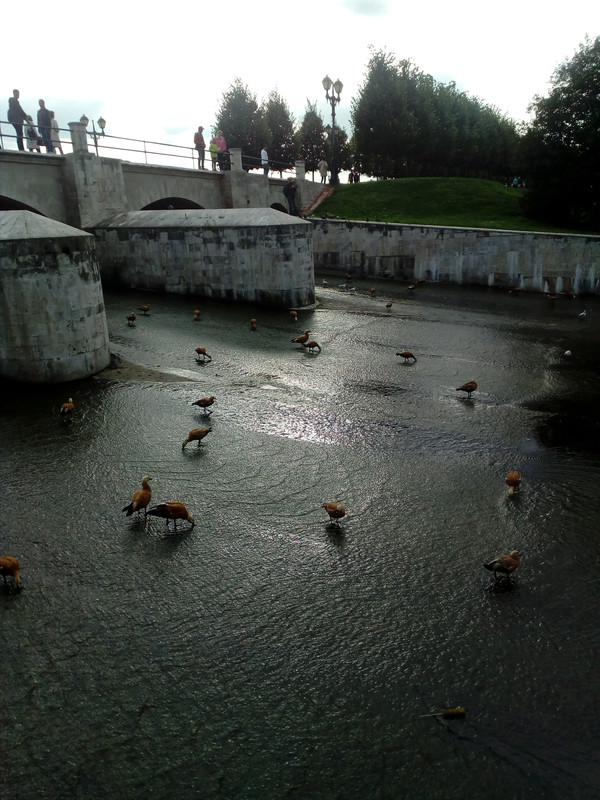 IMG_20170904_155909_1CS