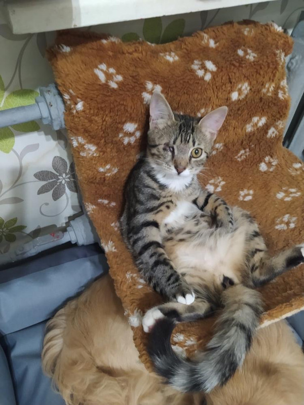 282E3EA5-CDEE-4402-99F9-6F28E21736A1