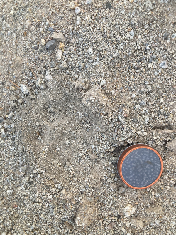 31D26BF9-DA4E-423E-83AD-1D90C3C08F15