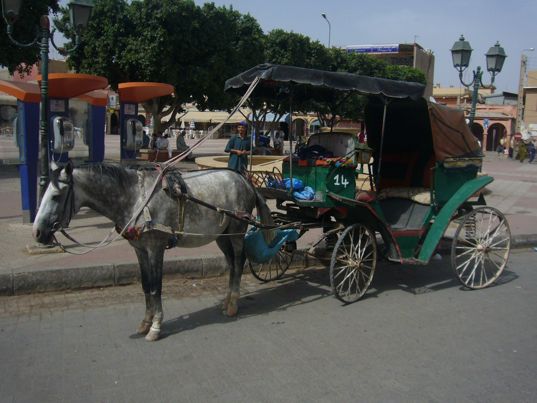 Taroudant, Ciudad-Marruecos (8)