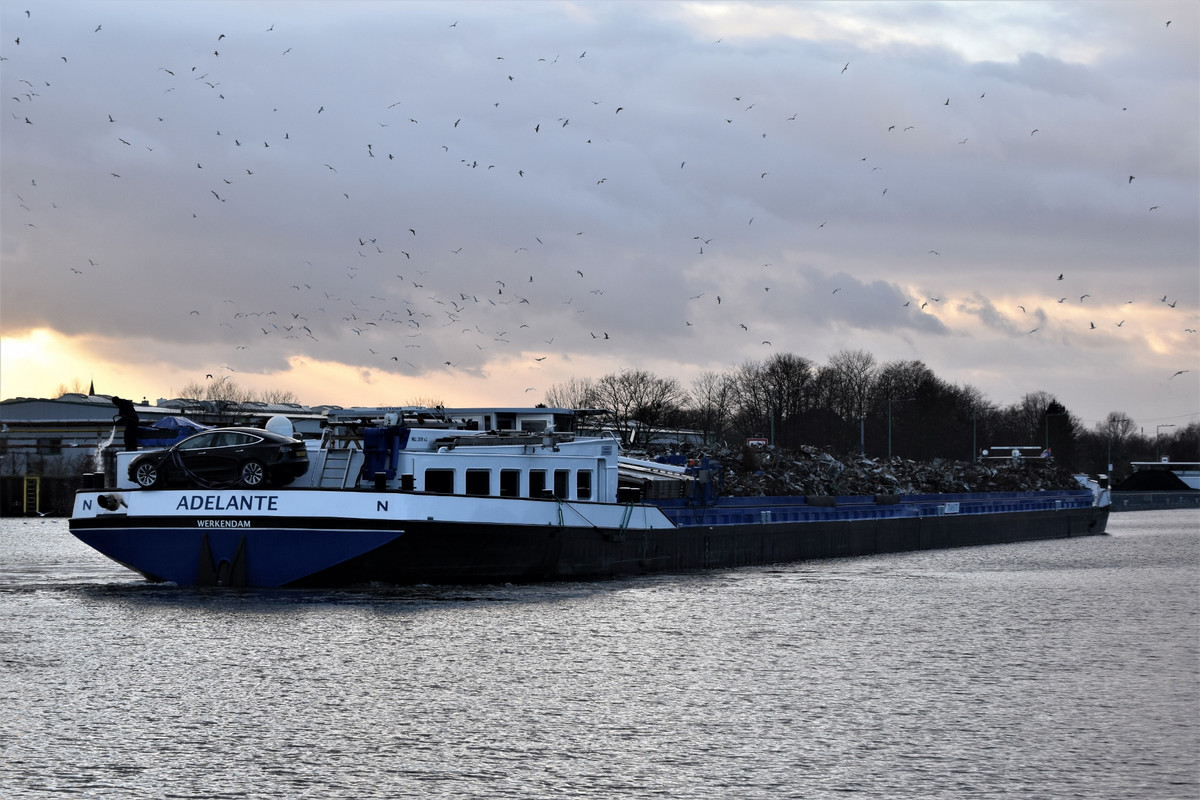 2022.01.20a RHK Adelante 04 (1940x1293)