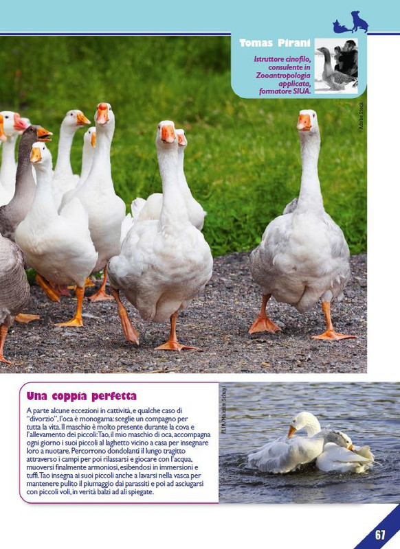 Foc Wil - Mar 2024 (12)