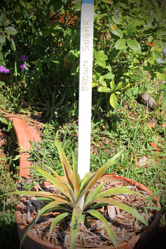 7E72A717-70D5-49D0-BF65-AE68ADF53F8A_1_201_a