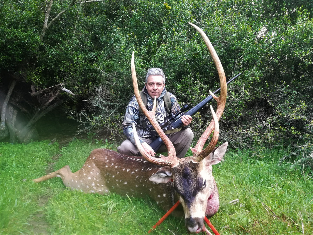 IMG_20191103_064138_resized_20191107_111333758 (2)