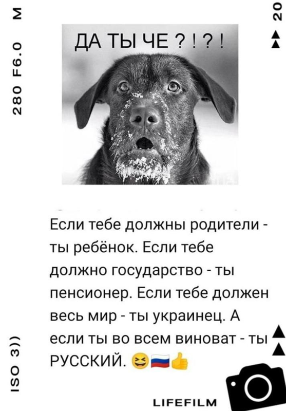 изображение_2022-12-25_115952278