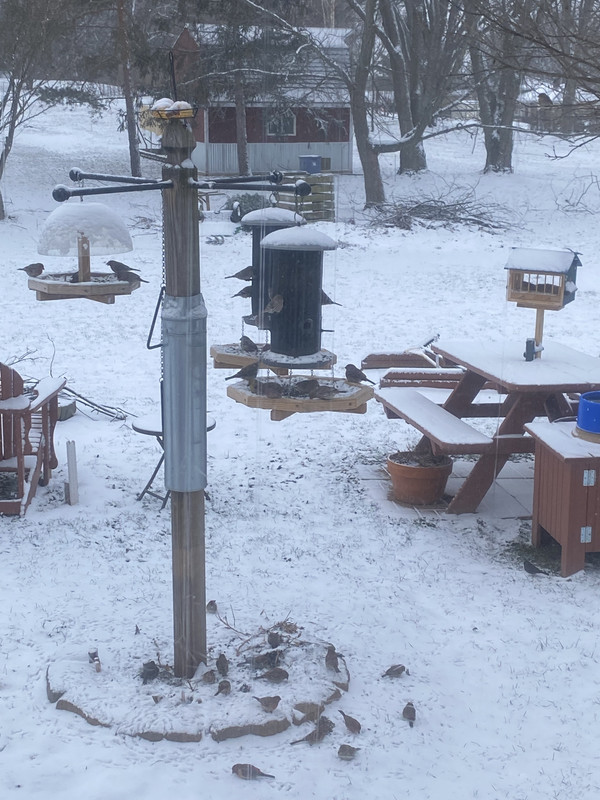 0AC038E8-9282-477B-B67B-53A8291E9153