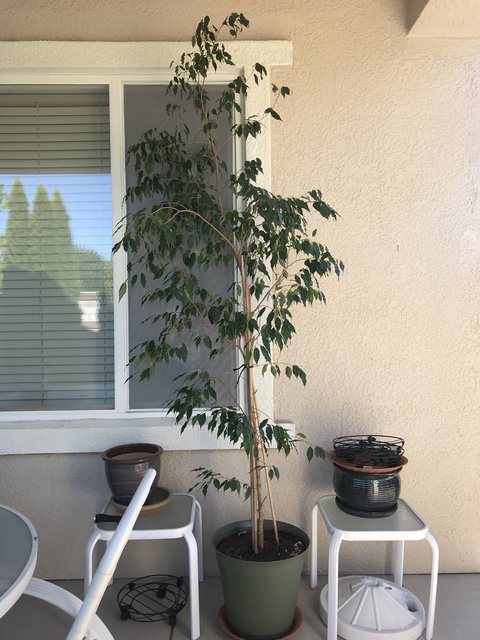 [Image: C89-F1321-75-DF-4-EE0-AA1-C-A0-E9-B32-DE679.jpg]