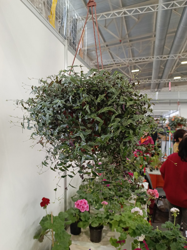 IMG_20250424_151129_585