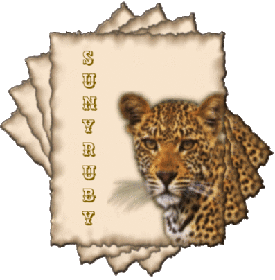 Sunyruby-Leopard-Card-Spread