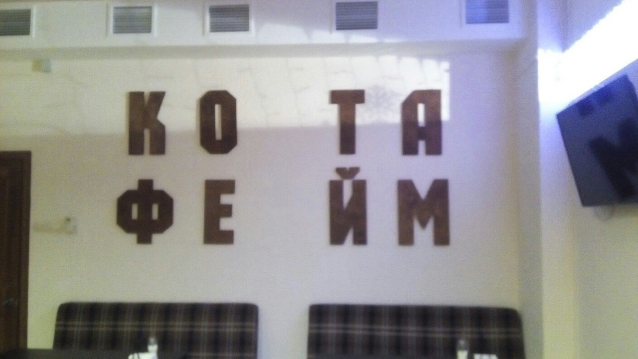 рокк-ебол-котафейм-4276863