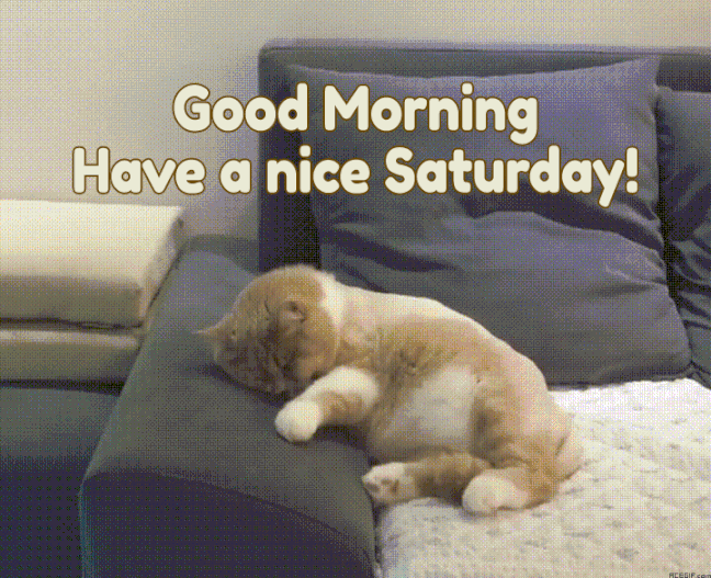 An den Beitrag angehängtes Bild: https://i.postimg.cc/BbDv9300/oie-31753336Ch-FNTix-(1).gif