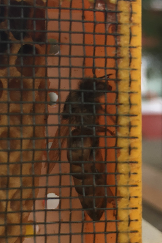 CC6DAF99-7D0B-4C08-B165-A6CAA8ADE24A