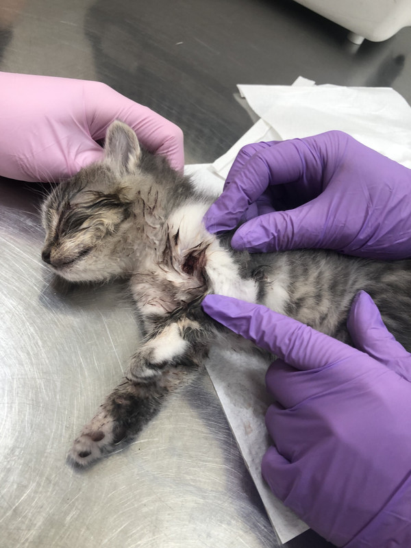 72FA8BDE-38FE-42F2-B571-C709D6469FF3