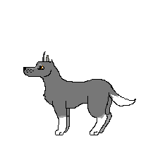 WOLF.gif