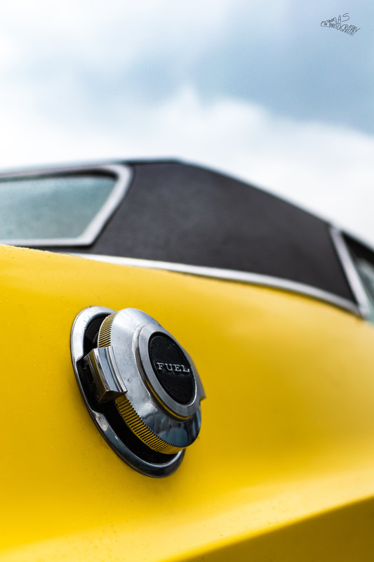 DSC_0801 1970 Dodge Challenger