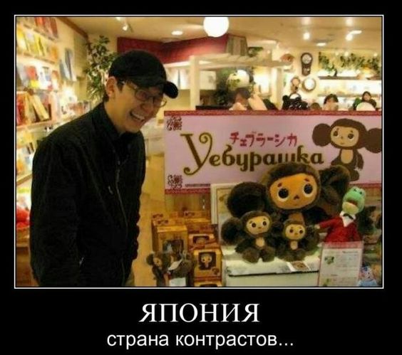 6da4d5de2e129de398f12d5ed72f3cc0