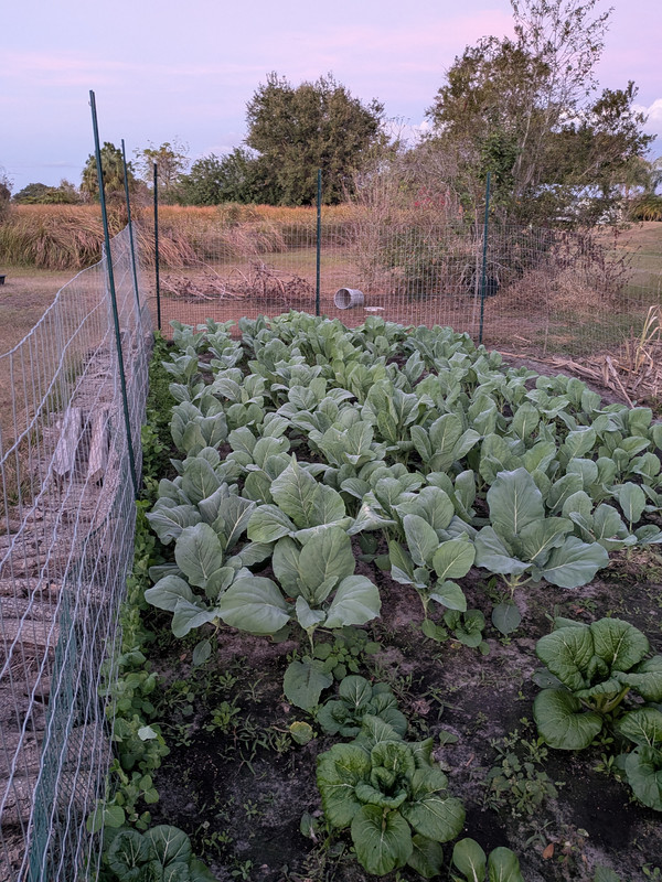 PXL 20260105 225734969