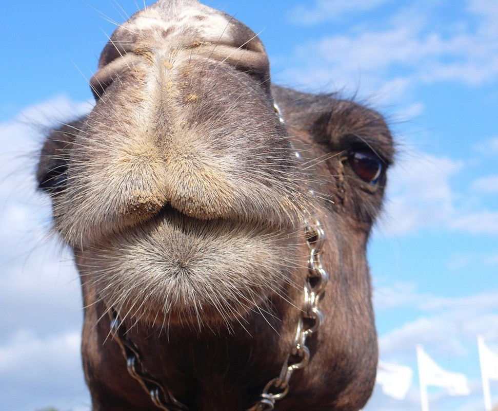 DC14FEC1-6A51-4AF6-97BF-255087C637B9