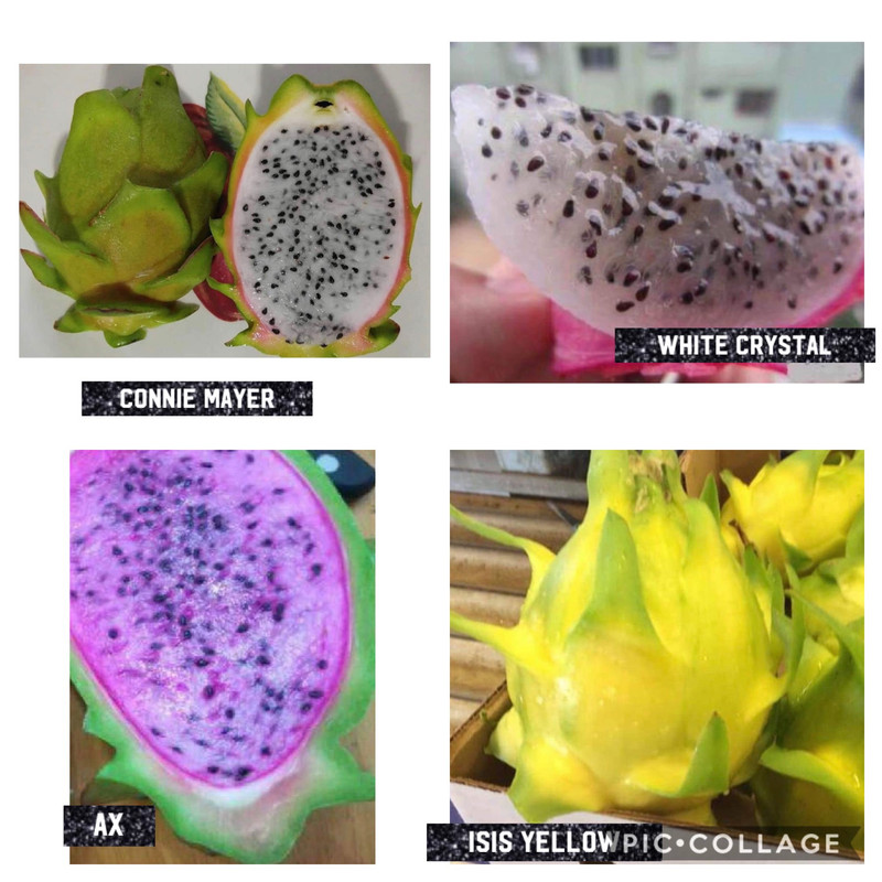 631987EB-5192-4AB2-9663-11B6501C4FBE