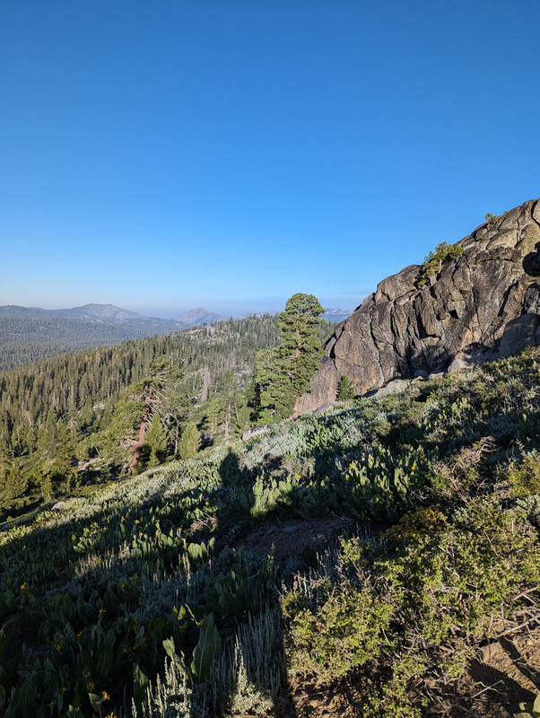 PXL_20250710_142050830