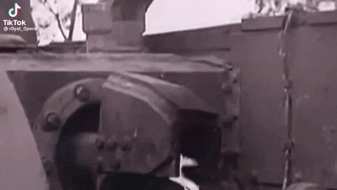 https://i.postimg.cc/BbGGTpn1/video-2026-08-22-03-09-20-(1).gif