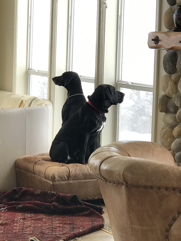 48C7E024-50C1-47D7-A924-FE5449BC2FAB