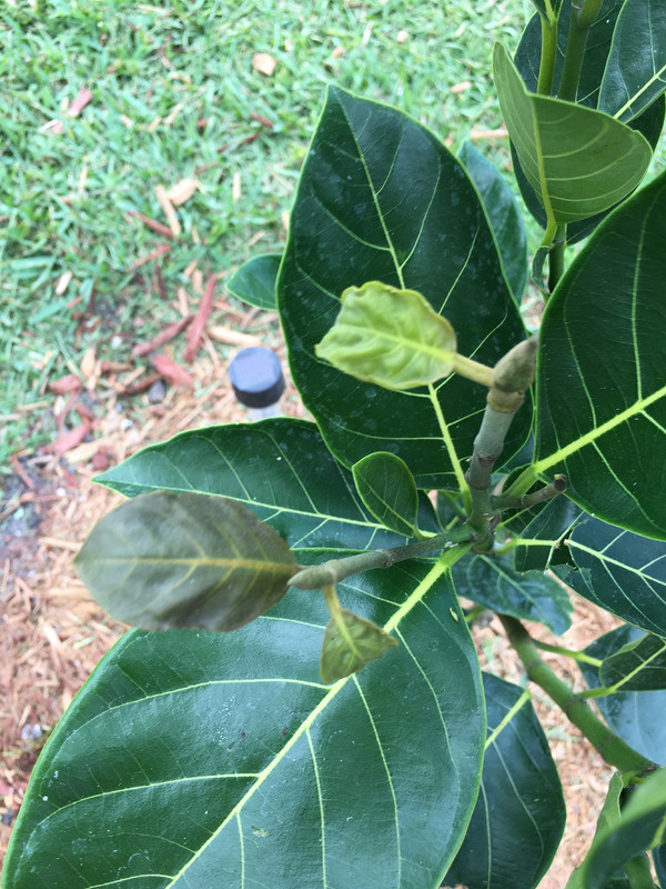 CECBDC08-600B-4DAF-8A45-27FBB6D01CB6