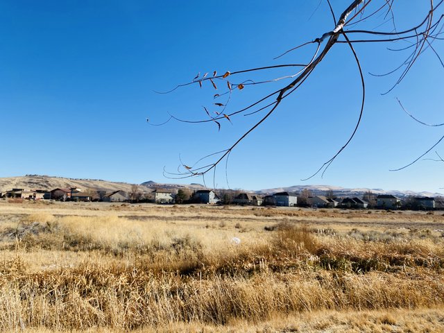 [Image: 58237-E83-E828-4-E52-A421-29-E602-B2-ADA6.jpg]