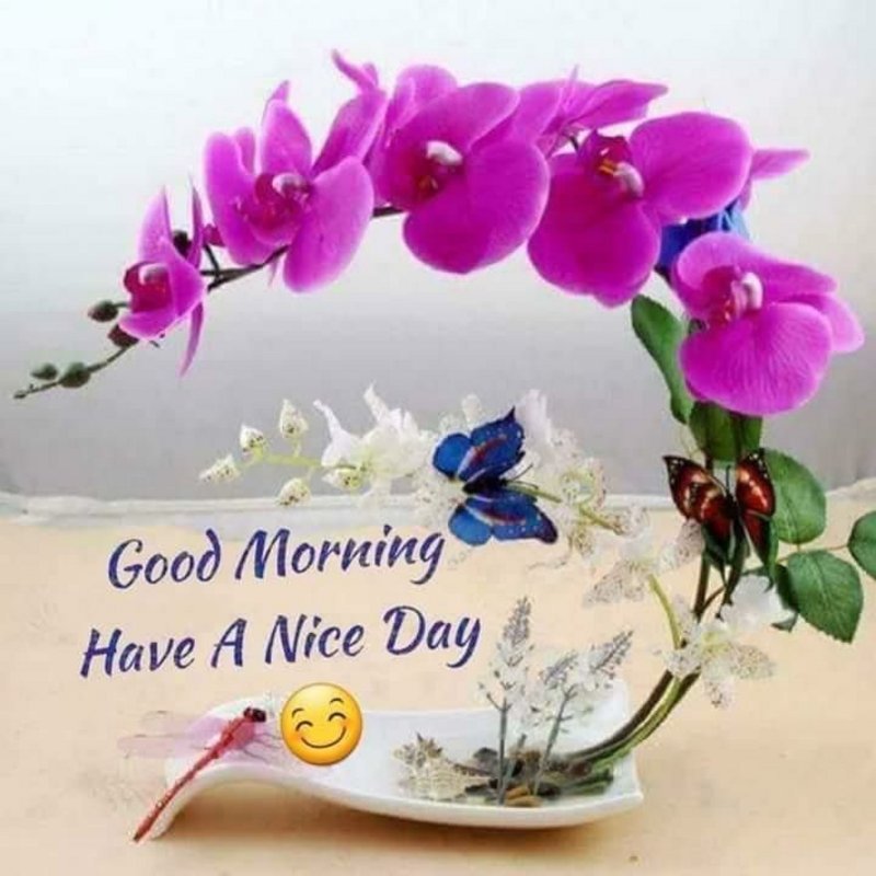 goodmorning-have-a-nice-day.jpg