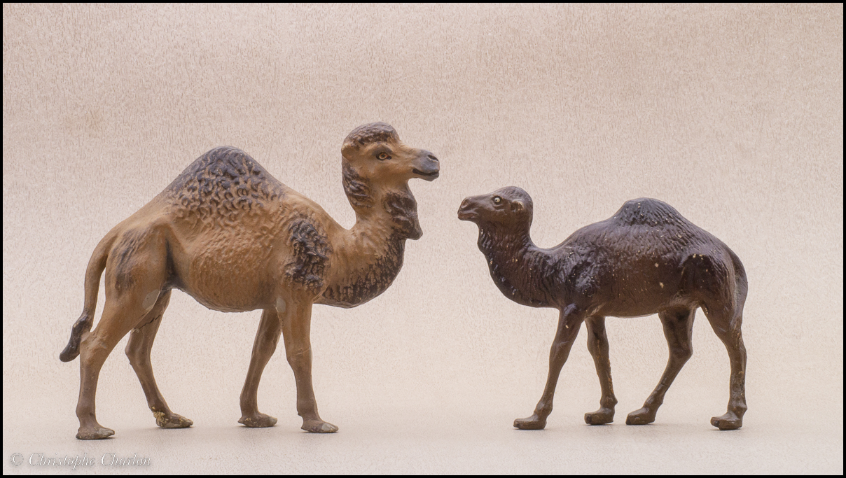 Bactrian camels and dromedaries by Lineol and Elastolin Composition-camels-5