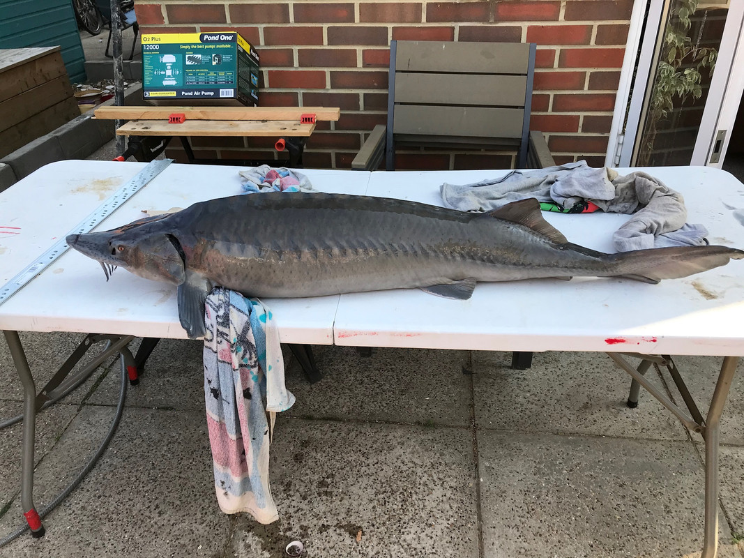 9F407C60-43F6-4194-B0D4-3FE10B265FAB