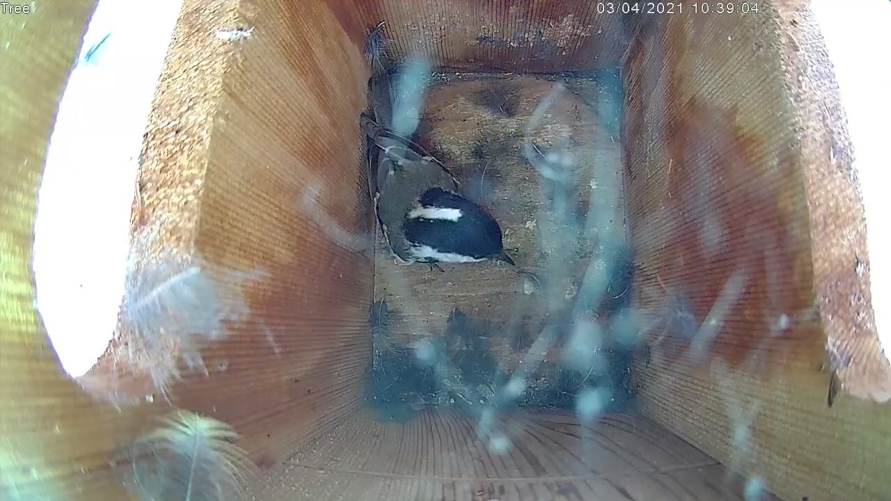 8E311B10-CF2F-44FA-9F9D-A31B09C34337